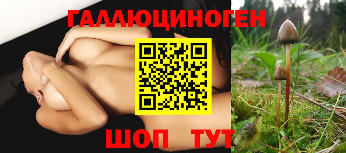 Псилоцибиновые грибы ЛСД  Вход с VPN  Ейск 